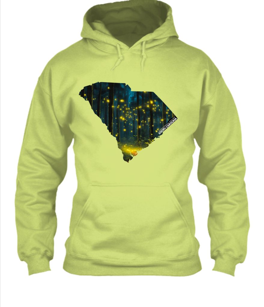 Sesquicentennial State Park Hoodie